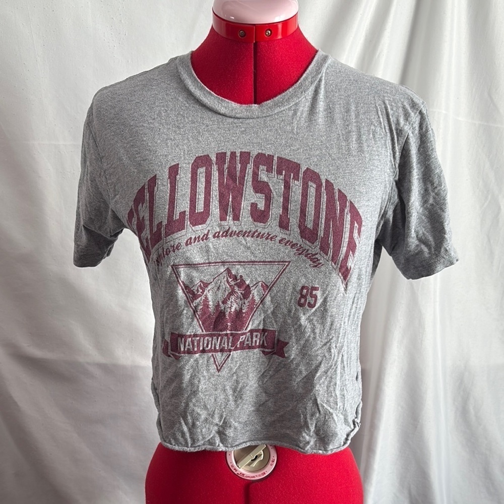 Rebellious One Gray Crop Top with Maroon Print SM395
